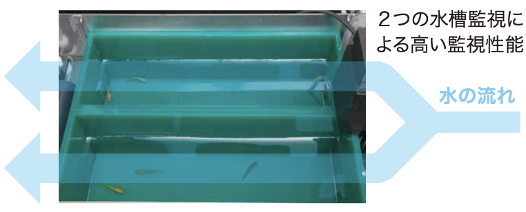 MIZNOCO CUBE 製品画像