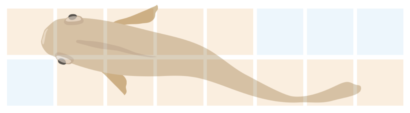 MIZNOCO CUBE 製品画像